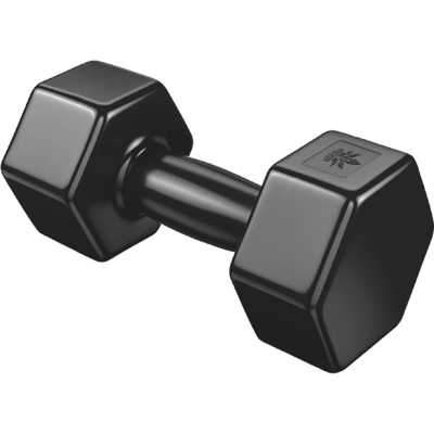 Evolve 10 lbs Hand Weight Dumbbell 1 ea, $18.00/1ea