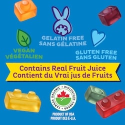 Annie Annie's Organic Building Blocks Assorted Fruit Flavours - 198 g | Maxi