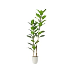 Life at Home Potted Faux Ficus Tree 1 ea, $55.00/1ea