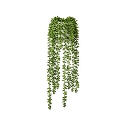 Life at Home Potted Faux Donkey Tail Plant 1 ea, $15.00/1ea