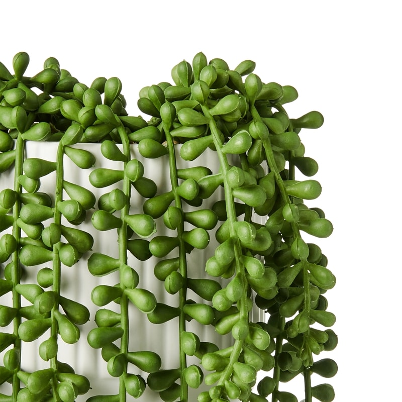 Potted Faux Donkey Tail Plant