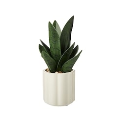 Life at Home Potted Faux Snake Plant 1 ea, $15.00/1ea