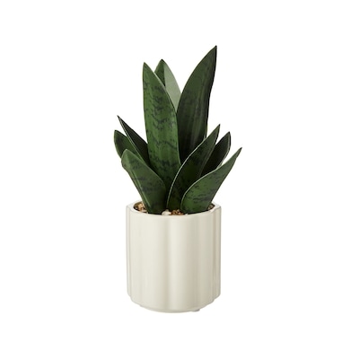 Life at Home Potted Faux Snake Plant 1 ea, $15.00/1ea