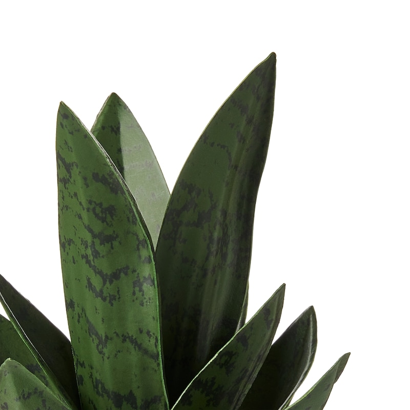 Potted Faux Snake Plant