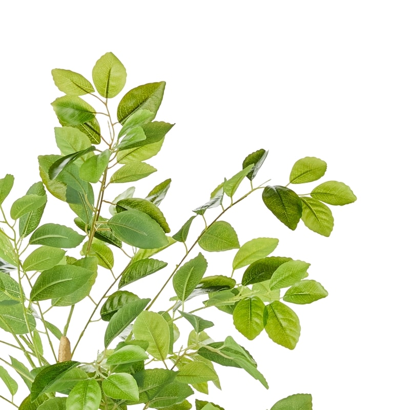 Potted Faux Moringa Tree