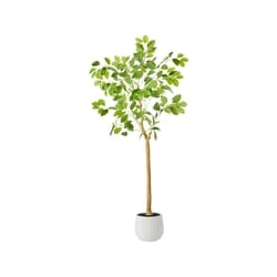 Life at Home Moringa artificiel en pot 1 ea, 55,00 $/1ch
