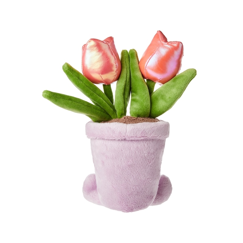 Love Blooms Plush - Rose