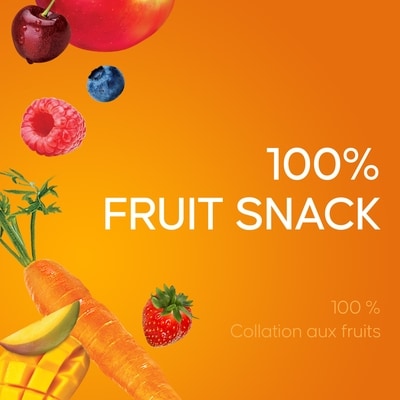 Fruit to Go 100% Fruit Variety Pack 72 x 14g