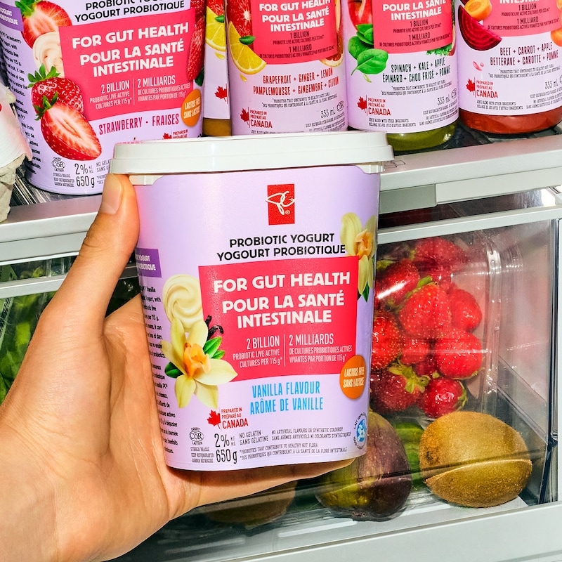 Vanilla Flavour Probiotic Yogurt