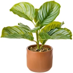Life at Home Calathea artificiel avec pot 1 ea, 10,00 $/1ch