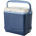 President's Choice 8 L Hard Cooler - Navy - 1 ea | Atlantic Superstore