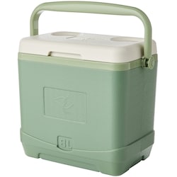 President's Choice 8 L Hard Cooler - Fern 1 ea, $30.00/1ea