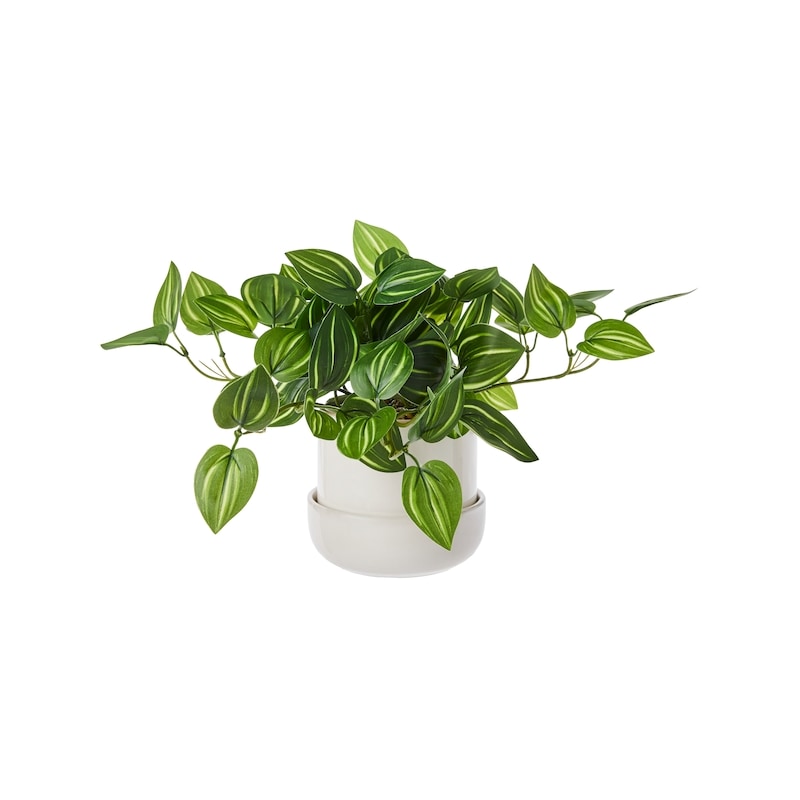 Potted Faux Silk Striped Leaves Plant