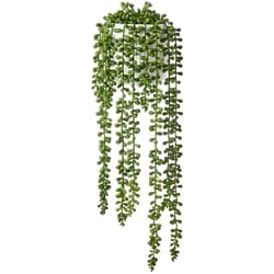 Life at Home Faux Donkey Tail Plant with Pot 1 ea, $10.00/1ea