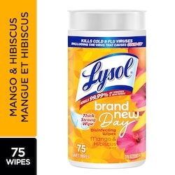 Lysol Disinfecting Wipes - Dual Action Brand New Day™ 75 ea, $0.14/1ea