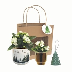 null Holiday Table Scape 1 ea, $34.00/1ea