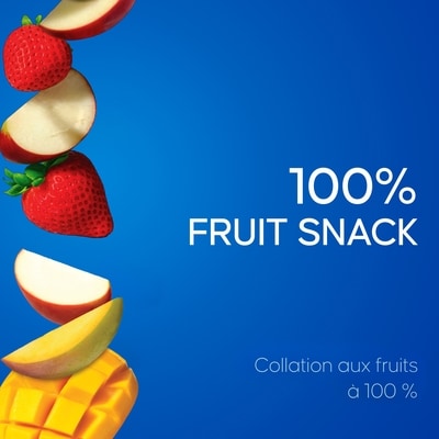 Assortiment de bandes aux fruits biologiques Pomme mangue et Pomme baies