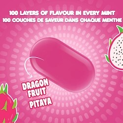 Tic Tac Mints, Dragon Fruit, Mint Candy, 60 Pills - 29 g | Zehrs