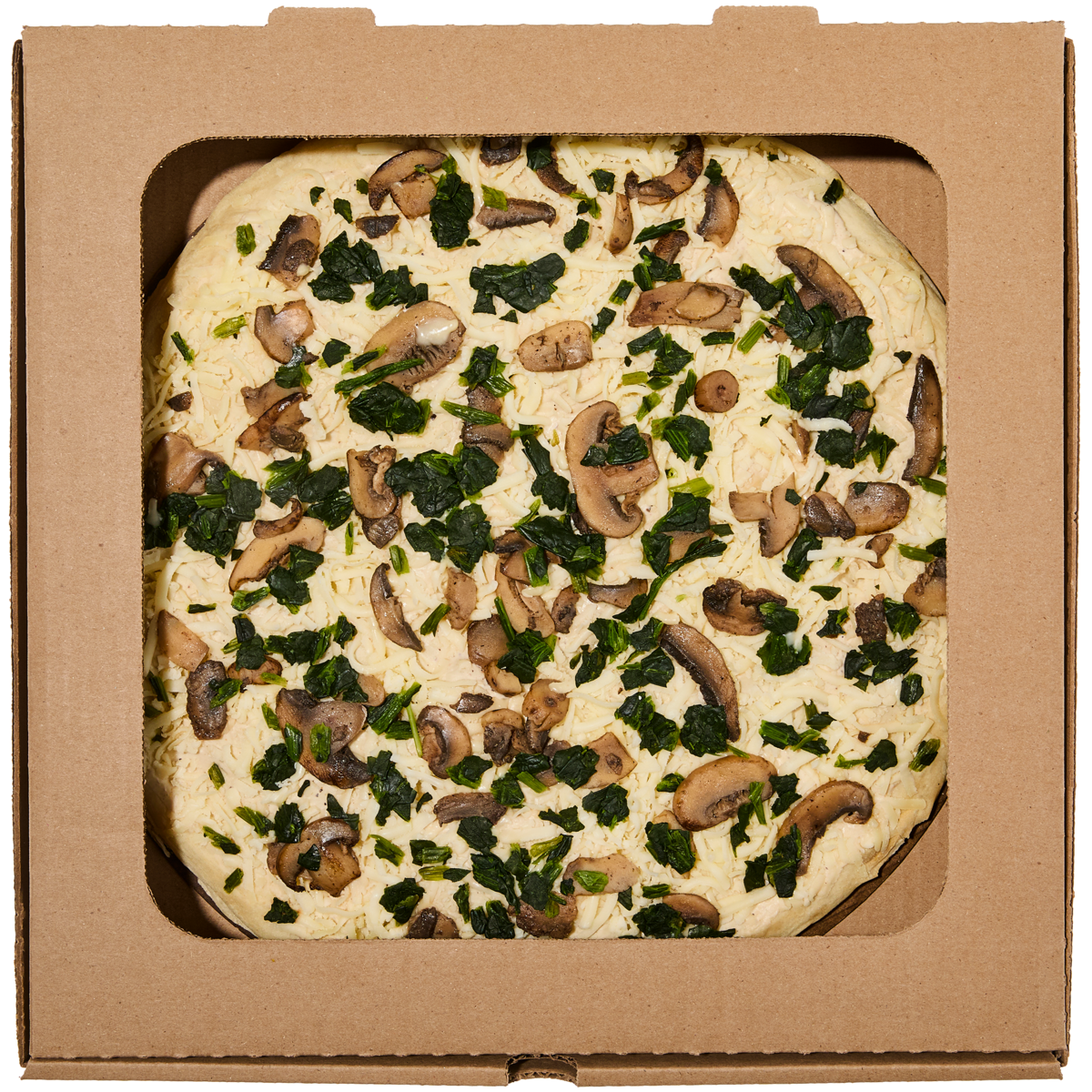 Mushroom Pizza