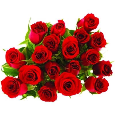 null Intermediate Roses, 18 Stem 1 ea, $15.00/1ea