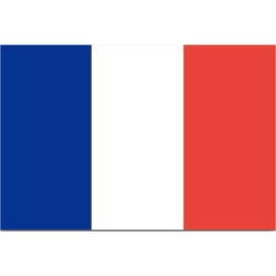 null Car Hood Flag France 1 ea, $15.00/1ea