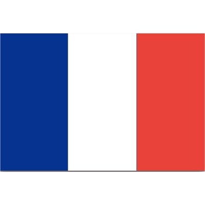 null Drapeau de la Coupe du Monde pour capot de voiture France 1 ea, 15,00 $/1ch