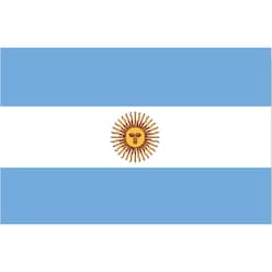 null Car Hood Flag Argentina 1 ea, $15.00/1ea