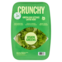 Vision Greens Green Leaf Lettuce - 227 g | Real Canadian Superstore