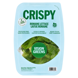 Vision Greens Romaine Lettuce