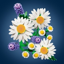 flowermemoryページ LEGO Botanicals Daisies Building Toy for Kids 11508 - 1 ea | Your