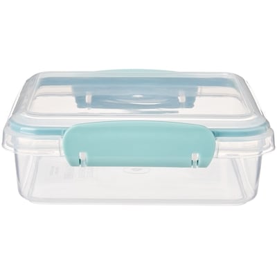Sandwich Container