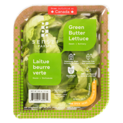 Sensei Farms Green Butter Lettuce 142 g, $3.51/100g