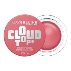 Maybelline Fard à joues mat Cloudtopia Enchanted Mauve 60 ml, 24,98 $/100ml