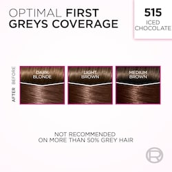 ÉCLAT Air color ダークブラウン 150g 2個セット L'Oreal Paris Casting Crème Gloss Semi Permanent Hair Dye Iced