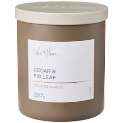 Life at Home Cedar and Fig Leaf Scented Candle 1 ea, $10.00/1ea