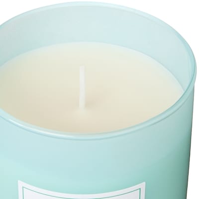 Berries and Lime Leaf Scented Candle