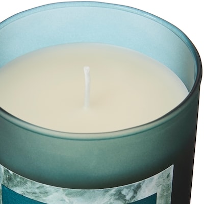 Bougie parfumée Mousse de chêne et bouleau