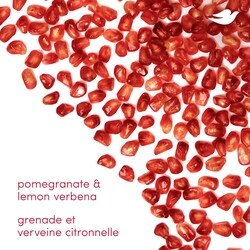 Dove Deodorant Stick, 72h Pomegranate & Lemon Verbena - 74 g | Loblaws
