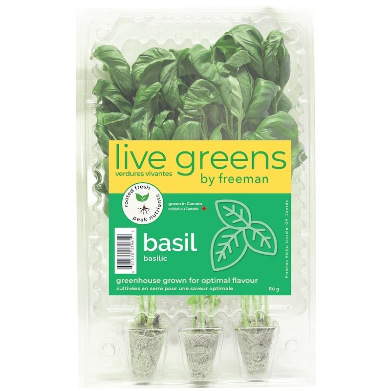 Basil