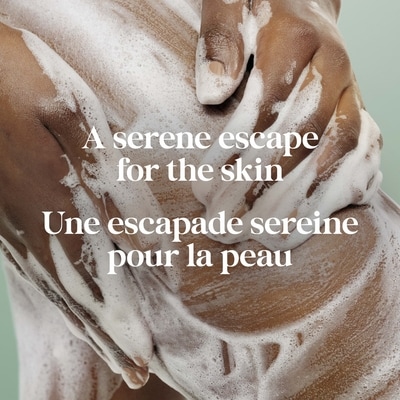 Dove Pain de beauté au parfum de bois d'ambre et huile de sauge edition limitée 6x106.0 g, 1,57 $/100g