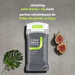 Dove Deodorant Spray 72h Breeze Palm Leaves + Fig - 85 g