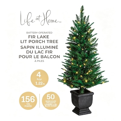 Arbre de porche en pot Fir Lake 4 pi