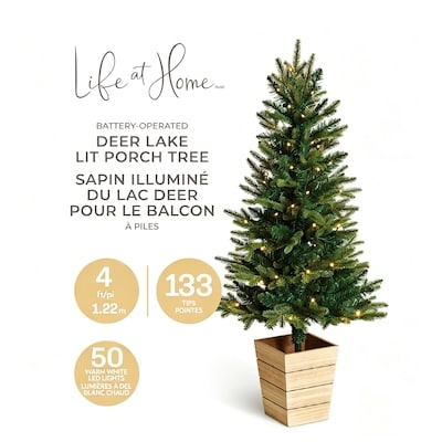 Arbre de porche en pot Deer Lake 4 pi