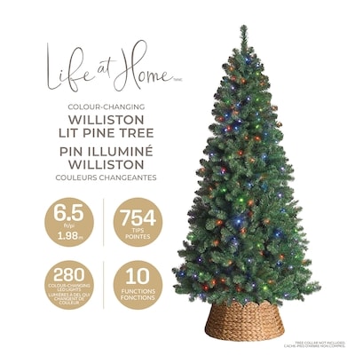 Pin Williston illuminé aux couleurs changeantes