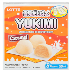 Lotte Japanese Mochi Ice Confectionery Caramel - 270 ml | Maxi