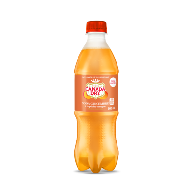 Soda Gingembre à La Pêche-Mangue