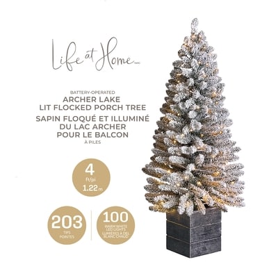 Sapin de porche Archer Lake givré et préilluminé en pot, 4 pi