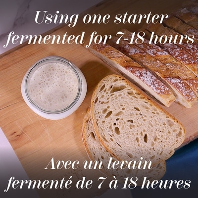 Artisan Style Roll Ciabatta Piccola