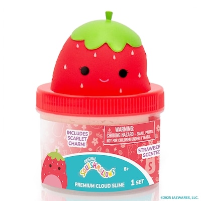 Squishmallows Pots de décoration 1 ea, 10,00 $/1ch