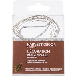null Harvest Décor LED Lights 20 Count - White 1 ea, $4.00/1ea